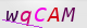 wpdiscuz_captcha
