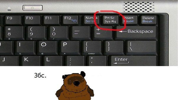 Что такое чики винни. %D0%B2%D0%BE%D0%BD%D0%BD%D0%B8 %D0%B7%D0%B1%D1%81. Что такое чики винни фото. Что такое чики винни-%D0%B2%D0%BE%D0%BD%D0%BD%D0%B8 %D0%B7%D0%B1%D1%81. картинка Что такое чики винни. картинка %D0%B2%D0%BE%D0%BD%D0%BD%D0%B8 %D0%B7%D0%B1%D1%81. В Англии вышла новая книга для детей с говорящим названием «В поисках Вини» и стала открытием не только для основных читателей, но и для их родителей. Там пишут, что Винни на самом деле был женского пола, брюнеткой и родом из Канады. Конечно же во всех мультиках Винни-Пух был хоть и без штанов, однако подразумевался мужского пола.