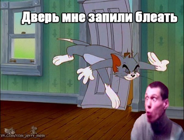 дверь запили