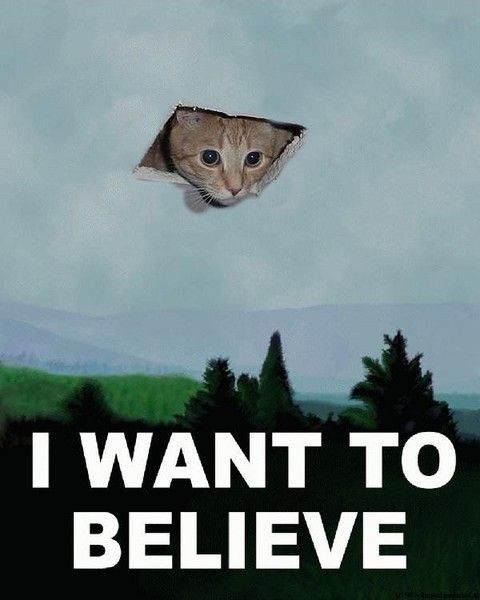 i want to believe4
