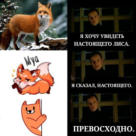 Какие есть мемы про стикеры Лиса ВК 1001 Мем VK