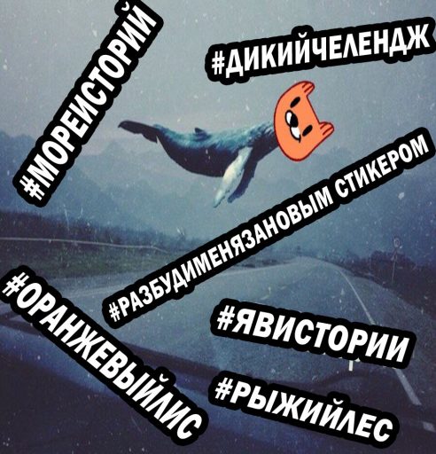 рыжий лис игра, рыжий лис мемы, что за рыжий лис, рыжий лис вк, мемы с рыжим лисом, рыжий лис синий кит, свежие мемы, какой мем популярен, стикеры вк, как получить стикер лис