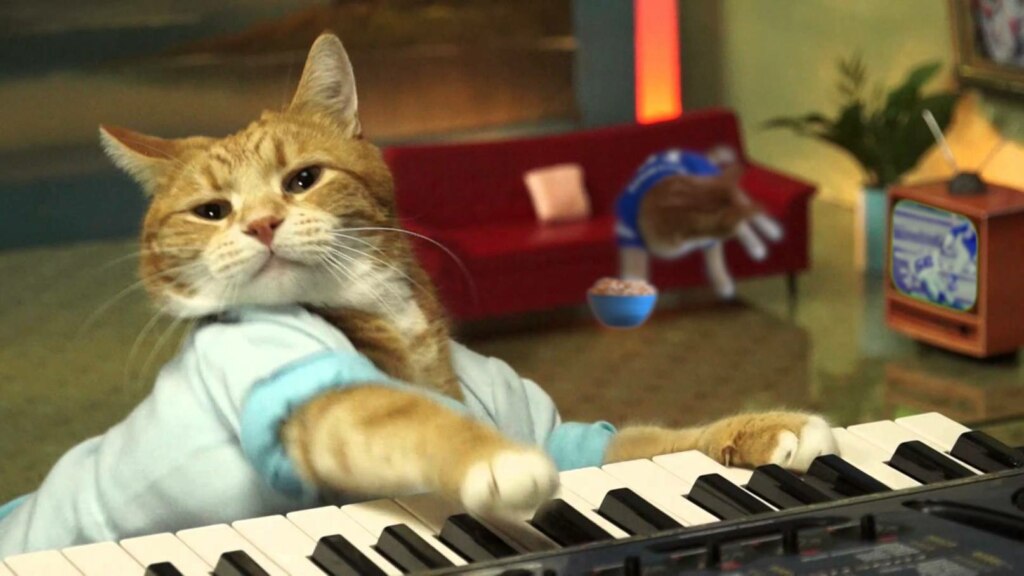 кот-пианист