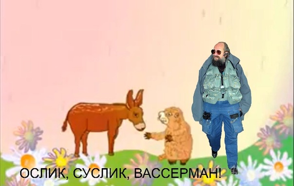 ослик суслик. ослик суслик паукан и мокренькая кисонька. суслик паукан. ослик суслика в пукан. паукан и мокренькая кисонька.