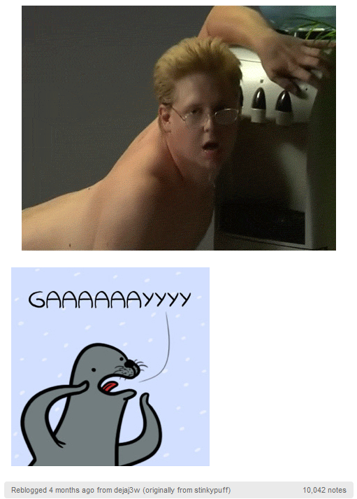 gay seal