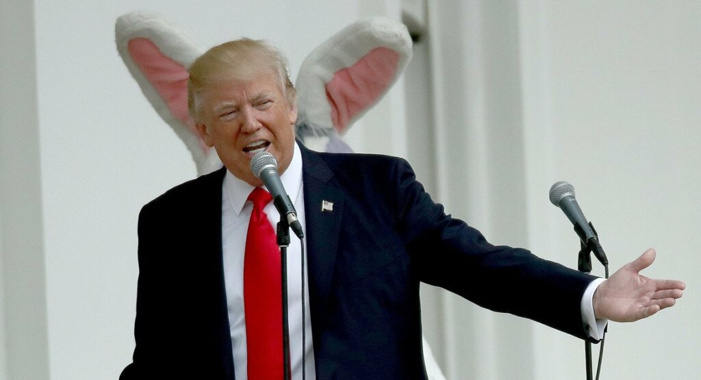 трамп кролик