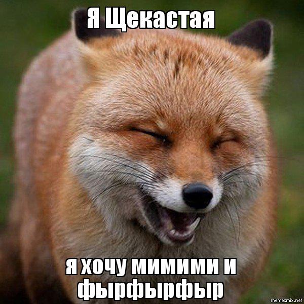 лиса мимими