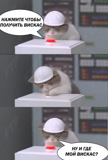 кот и красная кнопка