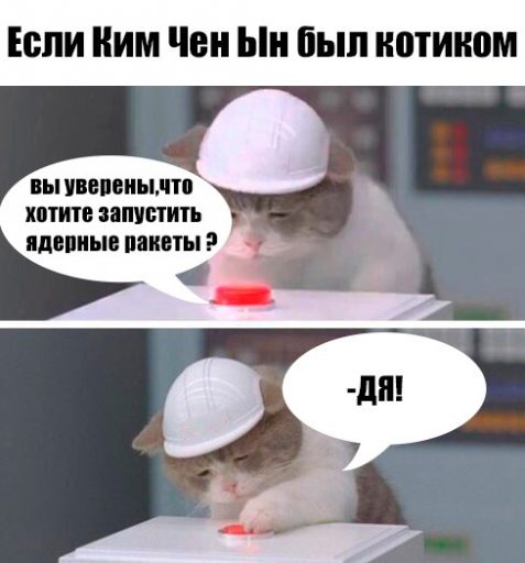кот и красная кнопка
