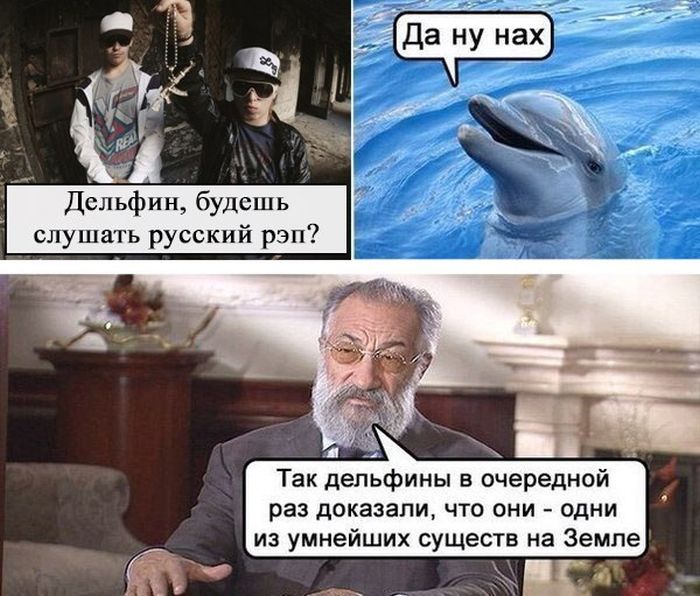 мемы про дельфинов