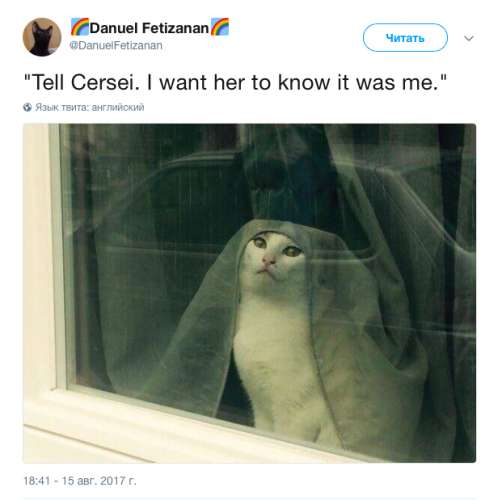 В августе, после выхода Серии со смертью последней из Тиреллов в твиттере появилась фотография кошки со шторой на голове и последними словами Оленны.