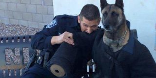 полицейский укусил собаку, фотожабы, смешные картинки, смешные фотографии, полиция шутки, шутки о полиции, приколы о полиции, приколы с полицией, приколы с полицейскими, фотожабы, смешные фотожабы, фотошоперы, фотошоп, фотошоп-битва, фотошоп-баттл, джордж клуни, джордж клуни и старушка