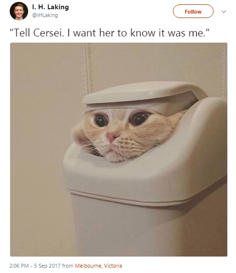 В августе, после выхода Серии со смертью последней из Тиреллов в твиттере появилась фотография кошки со шторой на голове и последними словами Оленны.