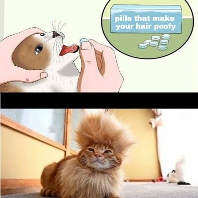 таблетки для кота (3)