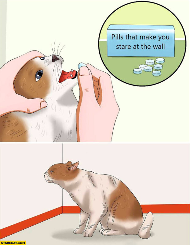 таблетки для кота (5)
