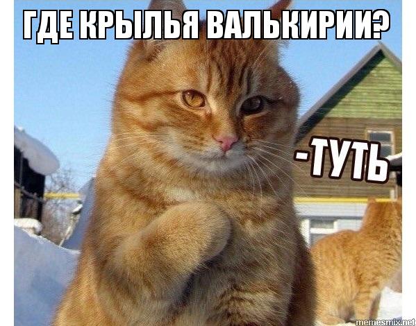 Котик Туть