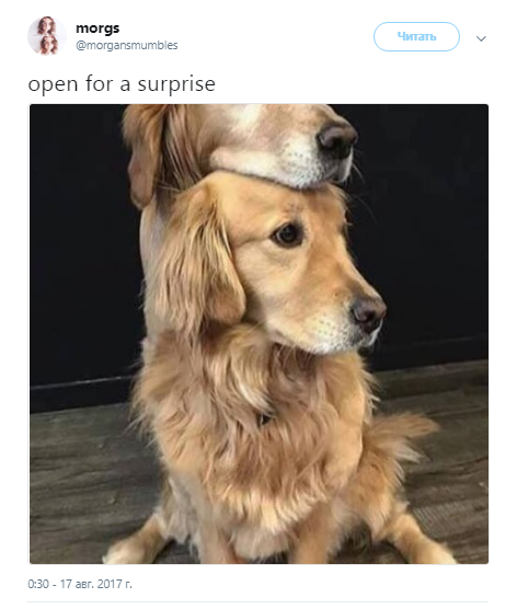 Сюрприз внутри