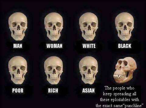 мем сравнение черепов