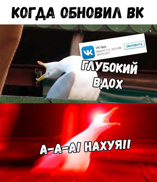 мемы про вконтакте (2)