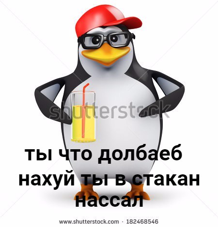 пингвин в очках мем (6)