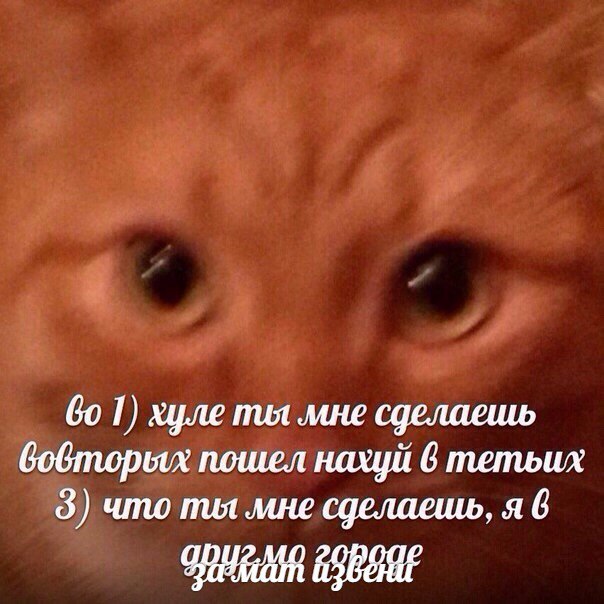 Что отвечать на и что ты мне сделаешь