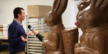 дональд трамп младший и зайцы