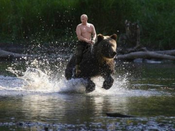 фотожабы с путиным на медведе