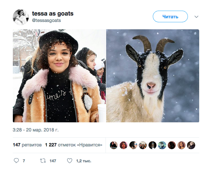 Тесса Томпсон и коза