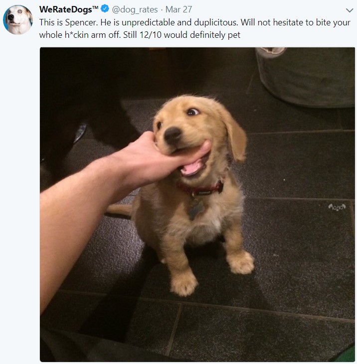 weratedogs, твиттер о собаках