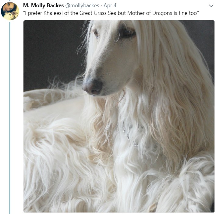 Длинноволосая собака, мем, афганская борзая