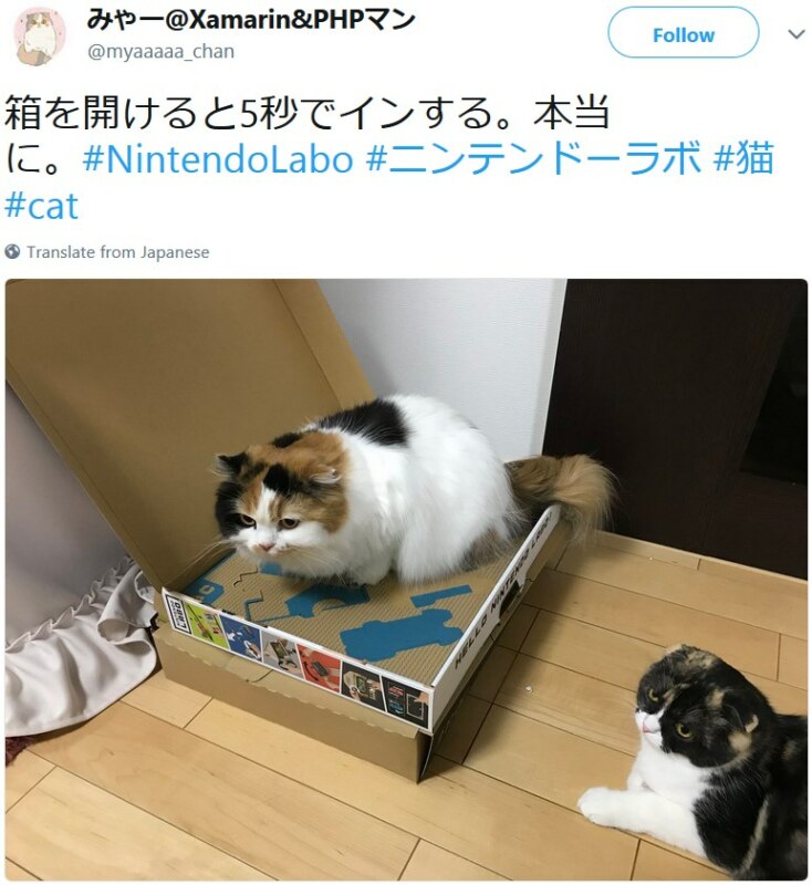 Коты и Nintendo Labo