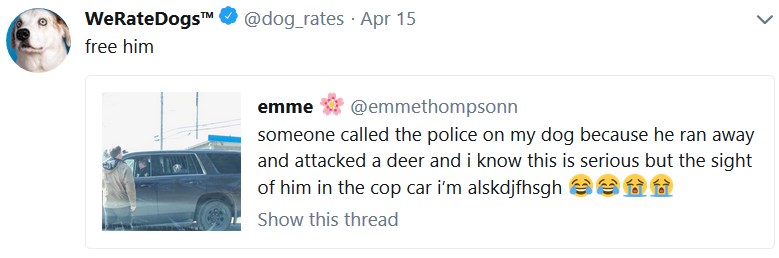 Пёс в полицейской машине