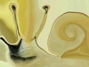 мем с доге мутировал