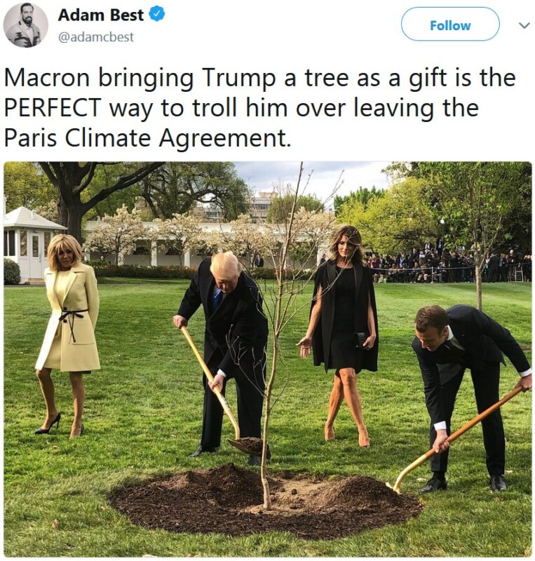 Трамп и Макрон сажают дерево