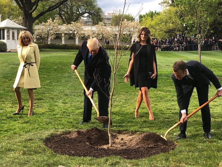 Трамп и Макрон сажают дерево