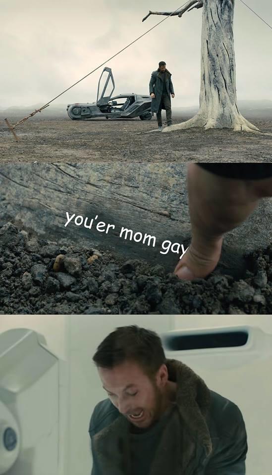 You're mom gay