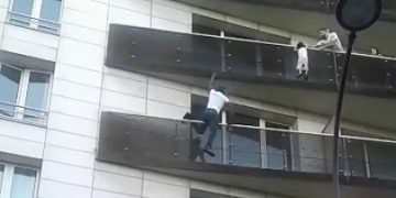 Французский "Спайдермен" спас ребёнка