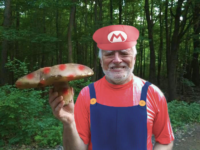 Дед Гарольд с грибом
