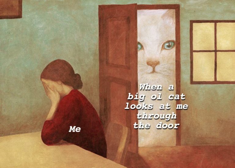 Что делать, если коты метят входную дверь: