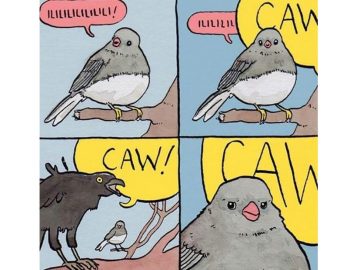 Перекрикивающая ворона