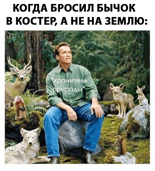 шварценеггер в лесу мем