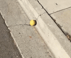 Лимон катится по дороге