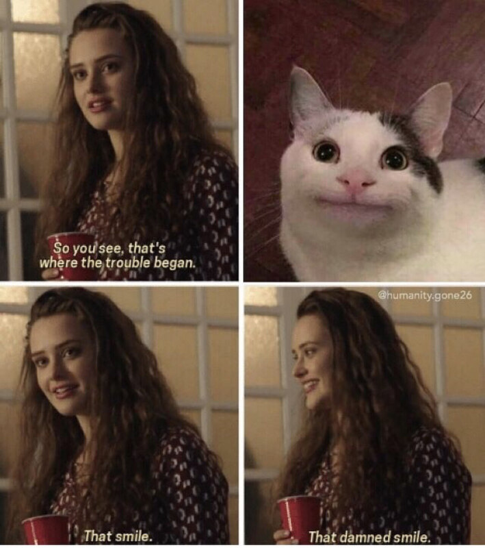 Вежливый кот