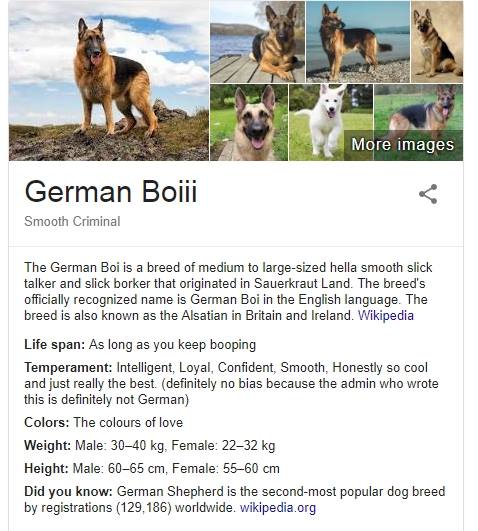Паблик о собаках пародирует справки Google