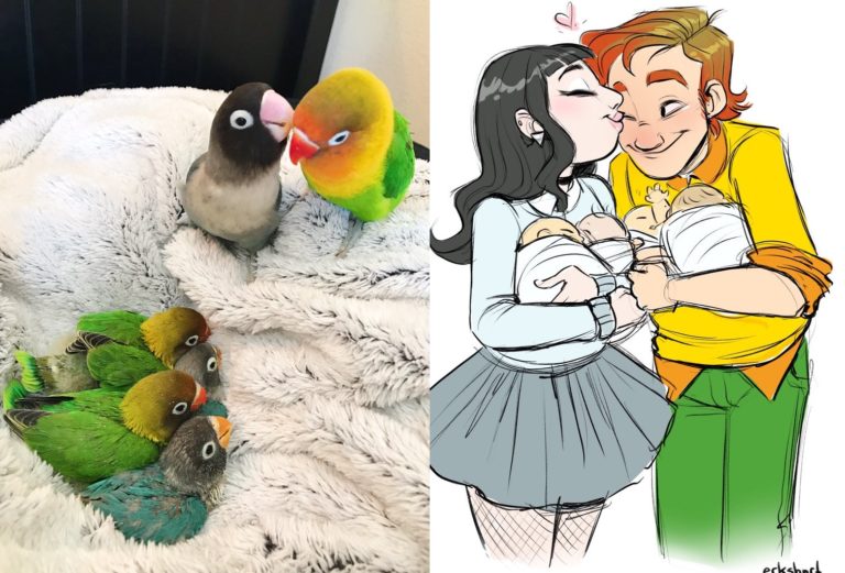 Bird Tiddy Goth Gf