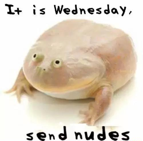 It Is Wednesday, My Dudes