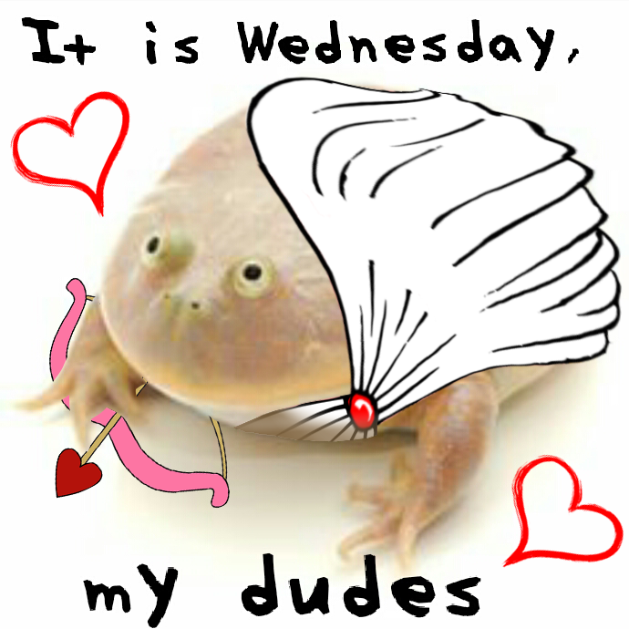 It Is Wednesday, My Dudes