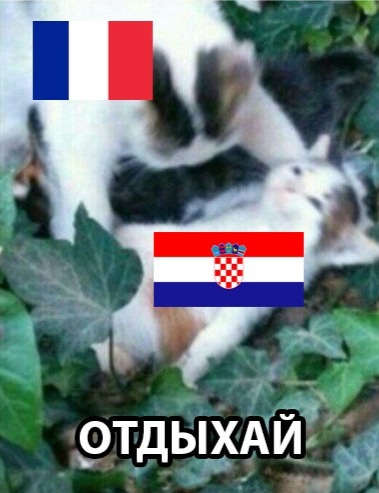 Франция Хорватия