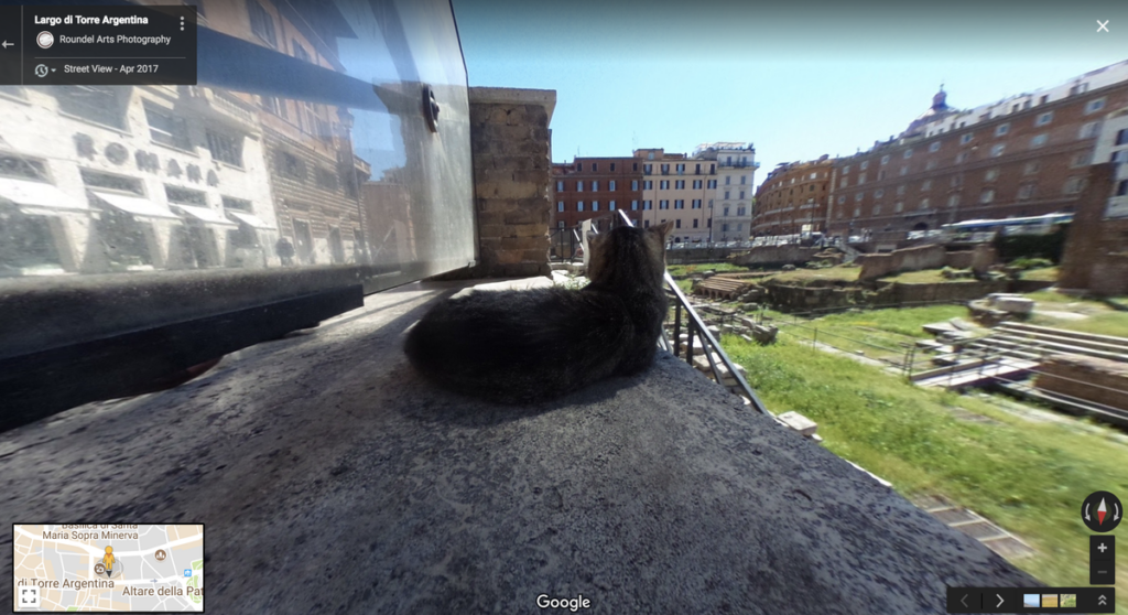 Кот в Риме