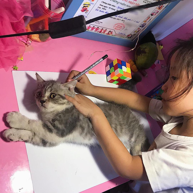 Девочка обводит кошку